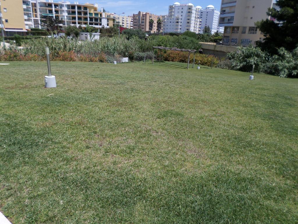 Rocha Tower By Beach Rentals 外观 照片