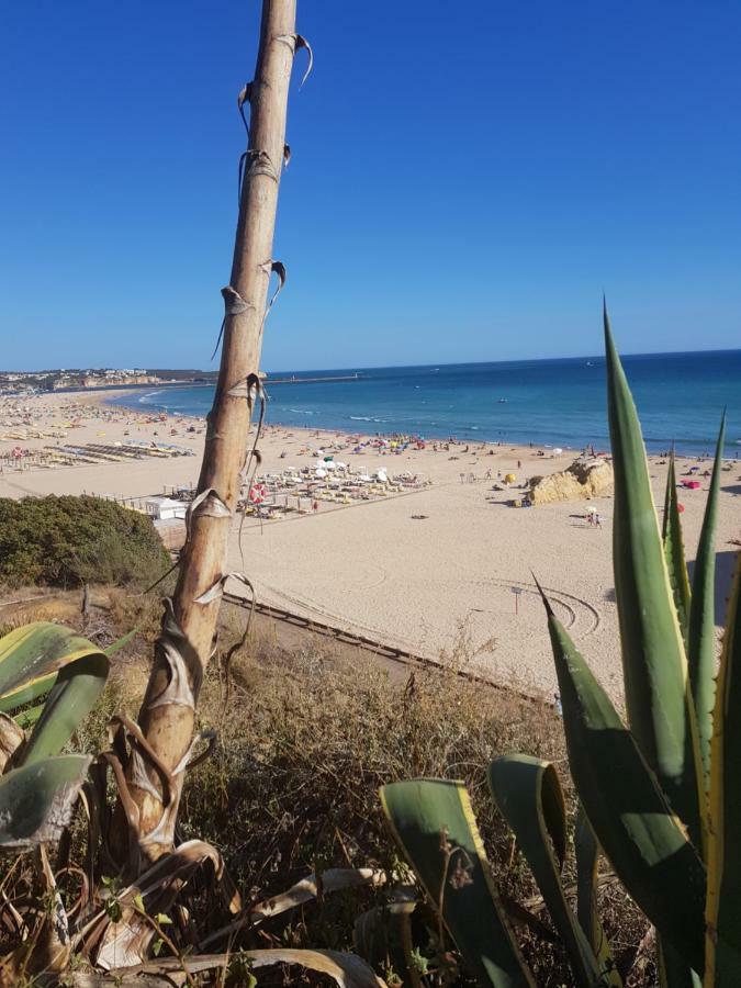 Rocha Tower By Beach Rentals 外观 照片